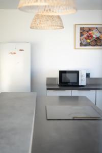 a kitchen with a counter top with a microwave at Villa Coeur Bleu in Petit-Bourg