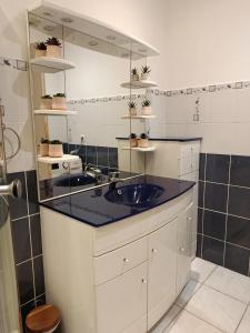 a bathroom with a sink and a mirror at Appartement 2 in Aubigny-sur-Nère +12 photos