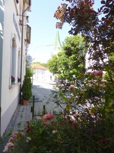 une rue fleurie et un bâtiment avec une église dans l'établissement Gästehaus Linde, Hotel garni, à Constance