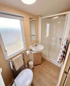 a bathroom with a toilet and a sink and a shower at Blue Curlew in Scratby