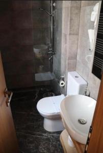 a bathroom with a toilet and a shower and a sink at Hotel Velar in Korçë