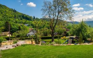 a green yard with a tree and a playground at La Clochette d'Hiver Familial et espace Détente in Cornimont