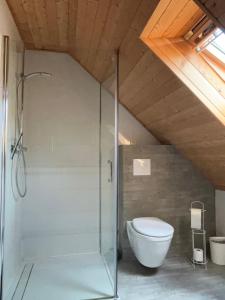 a bathroom with a shower and a toilet at Au bord du lac IV in Montigny-en-Morvan +29 photos