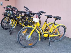 a row of yellow bikes parked next to a wall at Hotel Diana in Riva del Garda +57 photos