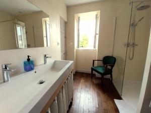 a bathroom with a large sink and a shower at Maison Tyto Alba in Saint-Victurnien +11 photos
