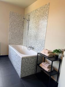 a bathroom with a bath tub and a shower at Sien Suite in Brakel +10 photos