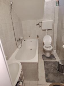 a bathroom with a tub and a toilet and a sink at Vikend kuća na Dunavu - Vila Čoče in Kovin +14 photos