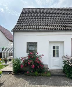 a white house with flowers in front of it at Ferienwohnung Schulrath in Eichwerder