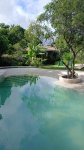 a large pool of blue water next to a tree at Vila Natholi Hotel Boutique in Imbassai