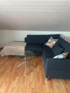 a living room with a blue couch and a glass table at Wachtgasse in Adliswil
