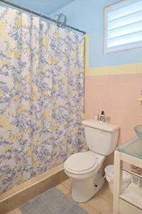 a bathroom with a toilet and a shower curtain at Emmanuelli Sur 7 Bedroom Mall of San Juan Home in San Juan +19 photos