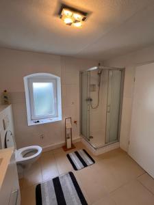 a bathroom with a shower and a toilet and a window at Main Tauber Appartment in Lauda-Königshofen