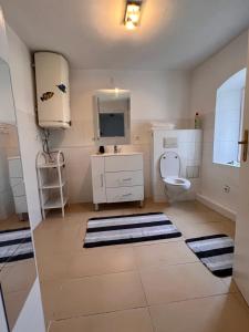a bathroom with a toilet and a sink and a mirror at Main Tauber Appartment in Lauda-Königshofen