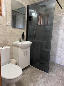 a bathroom with a shower and a toilet and a sink at Apartmani Mladenovac in Mladenovac +28 photos