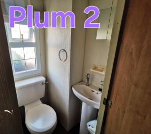 a bathroom with a white toilet and a sink at Plum 2, luxury 3 bed 8 berth, gas central heating, bedding included, Static caravan with large wrap around secure veranda on Coral Beach in Ingoldmells in Ingoldmells