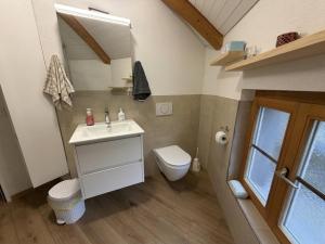 a bathroom with a white sink and a toilet at Berna Signau Hab N3 Parking Naturaleza Terraza in Signau +5 photos