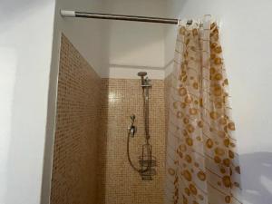 a shower with a shower curtain in a bathroom at Residence The Cherry House - Appartamenti con piscina in Carro