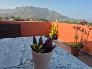a table with a potted plant on a balcony at Cote de France in Fundura