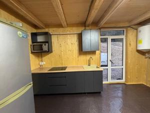 a kitchen with a sink and a microwave at Вершина in Vorokhta +39 photos