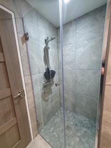 a shower with a glass door in a bathroom at Heron's Rest Studio in Macroom +27 photos
