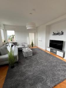 a living room with a couch and a television at Wunderschönes Haus am Waldrand für max 8 Personen in Harztor