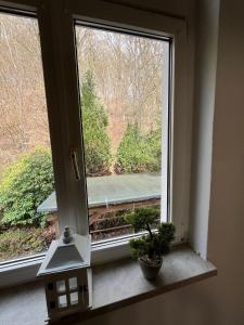 a window with two potted plants on a window sill at Wunderschönes Haus am Waldrand für max 8 Personen in Harztor