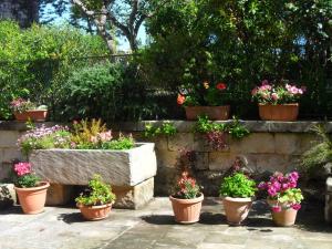 Zahrada ubytování Masseria Gattamora