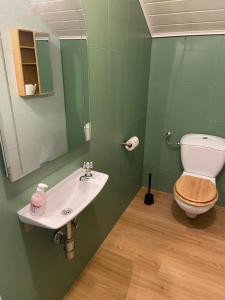a bathroom with a toilet and a sink and a mirror at Ferienwohnung Weiding in Rutzenmoos +19 photos