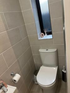a bathroom with a toilet and a mirror and a sink at The C & A Studio in Killala