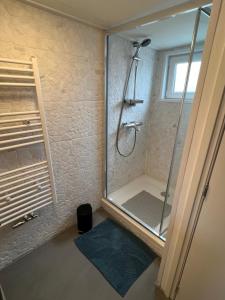 a shower with a glass door in a bathroom at WoonBoten Anna in Andijk +17 photos