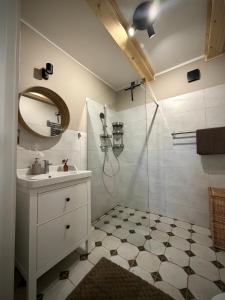 a bathroom with a sink and a shower at Hankówka Mazury in Jerutki +86 photos