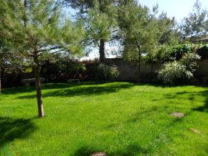 Zahrada ubytování Masseria Gattamora