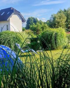 a yard with tall grass and a house at Mistral Jarosławiec in Jarosławiec