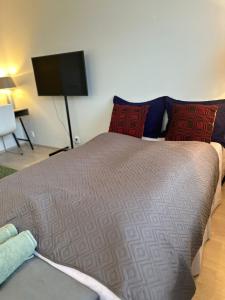 a bedroom with a bed and a flat screen tv at Appartment in Espoo in Helsinki
