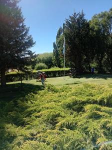 a person walking in a park with an umbrella at Estancia Don Jose- GuenGuel in Río Mayo +10 photos