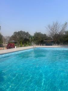 a large swimming pool with blue water at Nadaa Organic Farms in Khammam