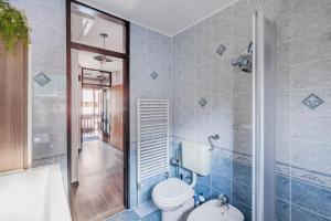 a bathroom with a toilet and a walk in shower at Hisa Lina near Bovec in Srpenica +24 photos