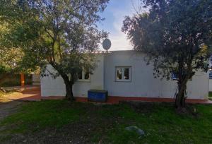 a white house with two trees in the yard at Oficina do Avô in Villa Nogueira