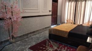 a bedroom with a bed and a plant at SH VILLA Executive in Dhingrānwāli