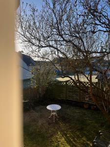 a small table in a yard with a tree at NAO Eifelhaus von 1875 mit Garten in Üxheim