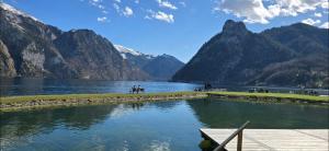 a view of a lake with mountains in the background at Ferienwohnung-Edna-Traunkirchen in Traunkirchen