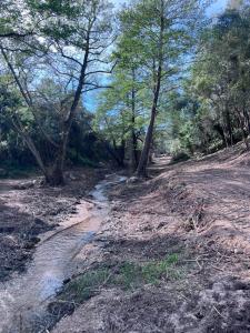 a dirt road through a forest with trees at Serenella in Olbia
