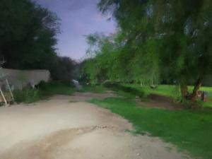 a painting of a field with trees and grass at Hospedaje Ayla in Tinogasta