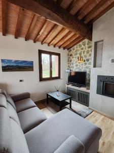 a living room with a couch and a fireplace at La Capanna in Radicofani