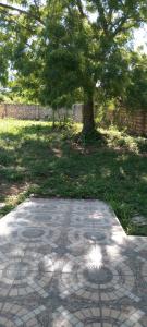 a stone walkway with a tree in a park at Perfect Backpacker Spot in Shimoni +5 photos