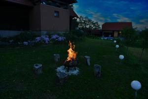 a fire pit in the middle of a yard at Holiday Home BIBA With Heated Outdoor Pool in Gornja Stubica