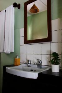 a bathroom sink with a mirror and a potted plant at Spa Elpis in Kigali