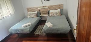 two twin beds in a small room with a door at HAIZEA Aire Apartamento 4 in Sopuerta