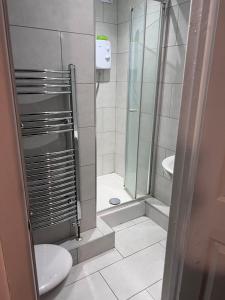 a bathroom with a shower and a toilet at Self-contained Studio Slough, Berkshire in Canvey