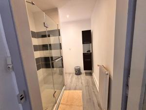 a bathroom with a shower and a glass door at Votre cocon vosgien in Saint-Étienne-lès-Remiremont
